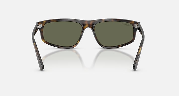 Ray-Ban RB2225 Havana with Green Polarized Solid Color lenses - Back