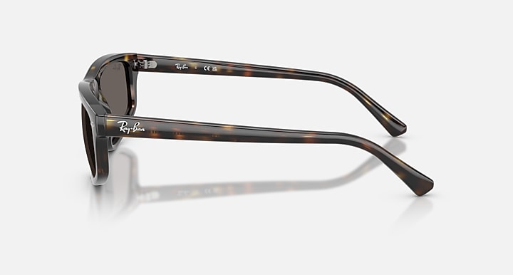 Ray-Ban RB2225 Havana with Dark Grey Solid Color lenses - Lateral