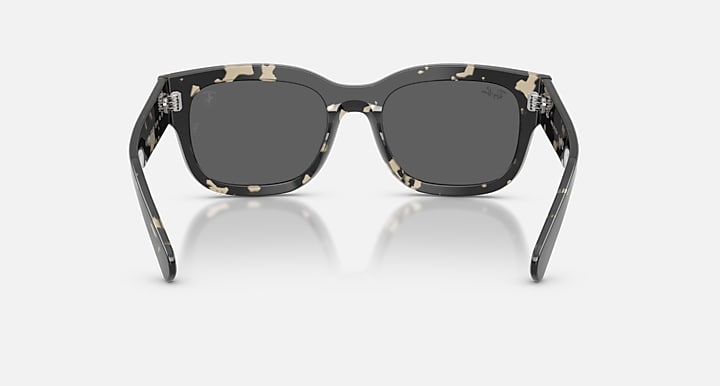 Ray-Ban RB2228M SCUDERIA FERRARI COLLECTION Havana Grey with Dark Grey Solid Color lenses - Back