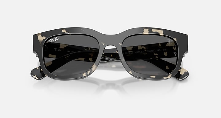 Ray-Ban RB2228M SCUDERIA FERRARI COLLECTION Havana Grey with Dark Grey Solid Color lenses - Closed Front