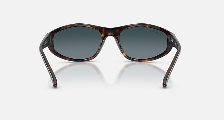 Ray-Ban RB2228 Havana with Polarized Light Blue Gradient Gradient lenses - Back