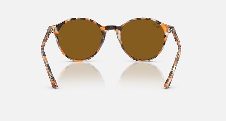 Ray-Ban RB2230 Havana Grey & Brown with Brown Solid Color lenses - Back