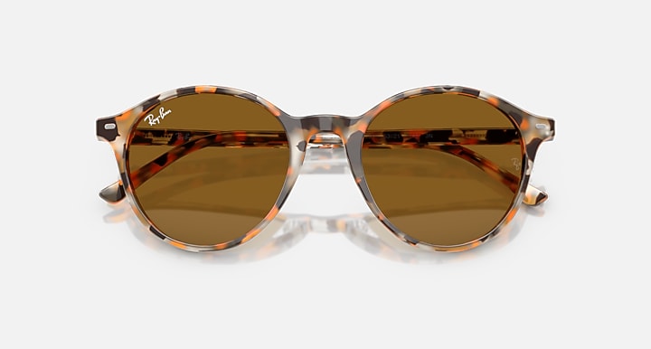 Ray-Ban RB2230 Havana Grey & Brown with Brown Solid Color lenses - Closed Front