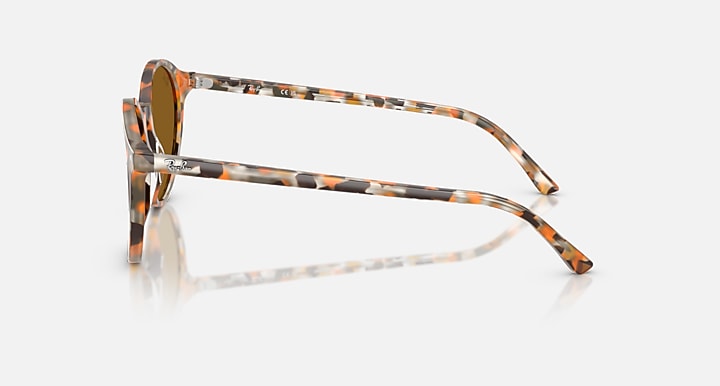 Ray-Ban RB2230 Havana Grey & Brown with Brown Solid Color lenses - Lateral