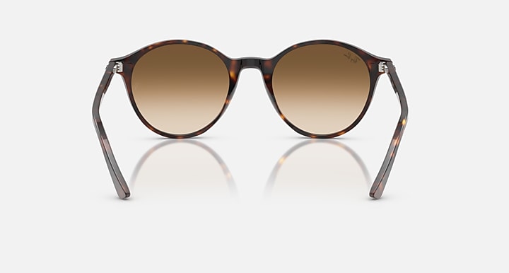 Ray-Ban RB2230 Havana with Clear Gradient Brown Gradient lenses - Back