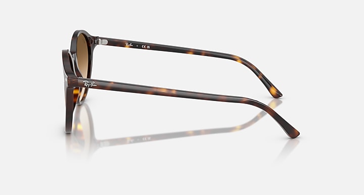 Ray-Ban RB2230 Havana with Clear Gradient Brown Gradient lenses - Lateral