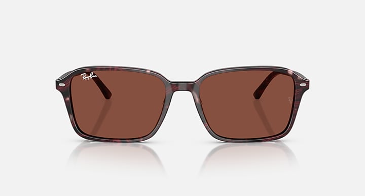 Ray-Ban RAIMOND Transparent Fantasy Violet & Red with Red Solid Color lenses - Front