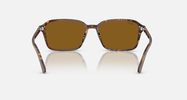 Ray-Ban RAIMOND Transparent Fantasy Brown with B-15 Brown Solid Color lenses - Back