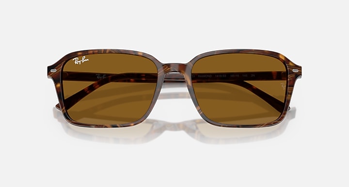 Ray-Ban RAIMOND Transparent Fantasy Brown with B-15 Brown Solid Color lenses - Closed Front