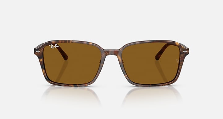 Ray-Ban RAIMOND Transparent Fantasy Brown with B-15 Brown Solid Color lenses - Front