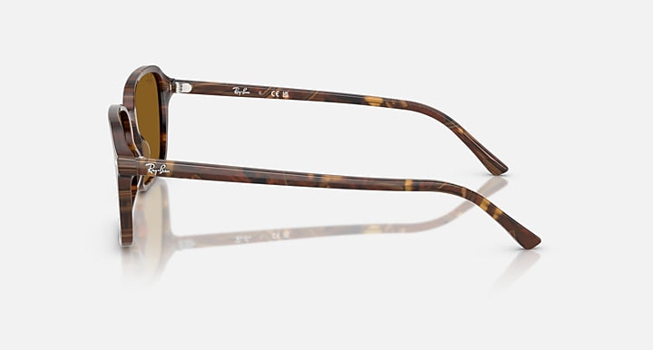 Ray-Ban RAIMOND Transparent Fantasy Brown with B-15 Brown Solid Color lenses - Lateral