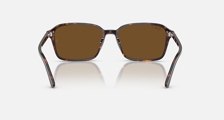 Ray-Ban RAIMOND Havana with Brown Polarized Solid Color lenses - Back