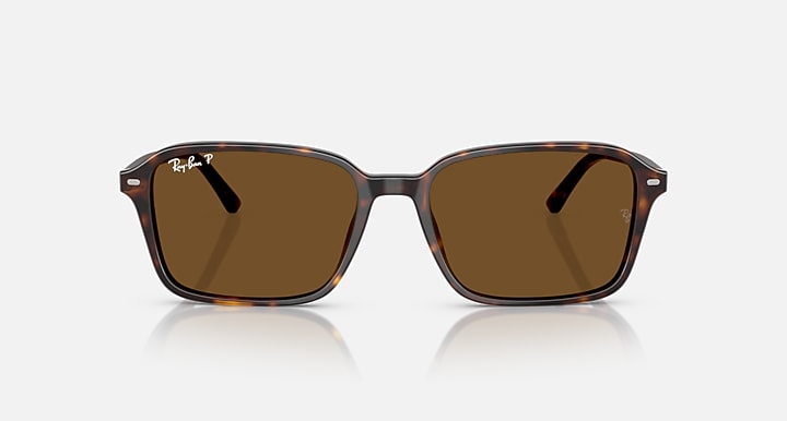 Ray-Ban RAIMOND Havana with Brown Polarized Solid Color lenses - Front