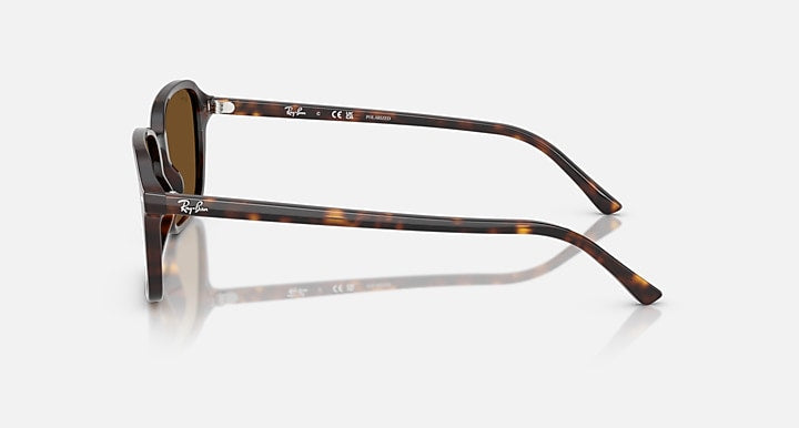 Ray-Ban RAIMOND Havana with Brown Polarized Solid Color lenses - Lateral