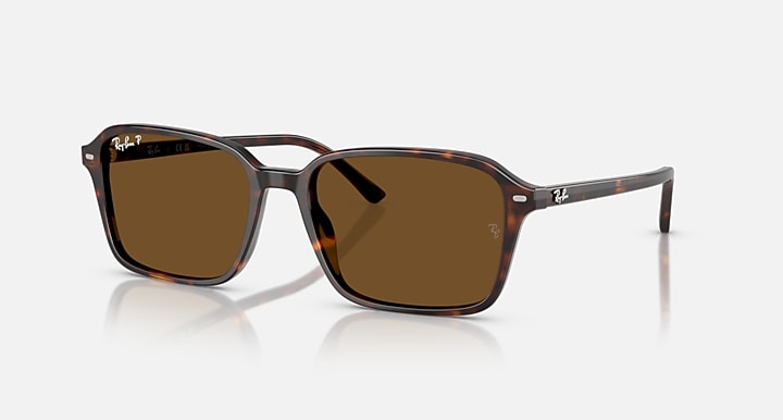 Ray-Ban RAIMOND Havana with Brown Polarized Solid Color lenses - Quarter