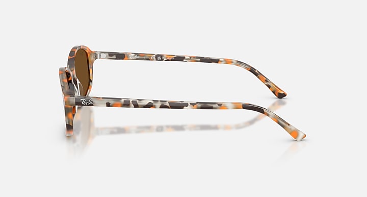 Ray-Ban SAM Havana Brown Grey with Brown Polarized Solid Color lenses - Lateral