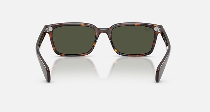 Ray-Ban BRUNEL Havana with Dark Green Solid Color lenses - Back