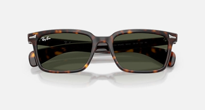 Ray-Ban BRUNEL Havana with Dark Green Solid Color lenses - Closed Front