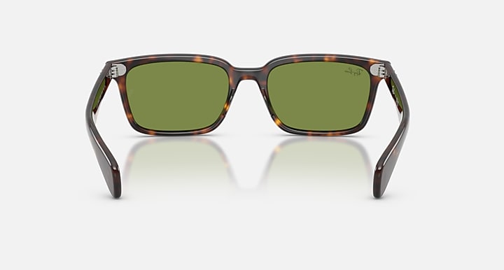 Ray-Ban BRUNEL Havana with Green Solid Color lenses - Back