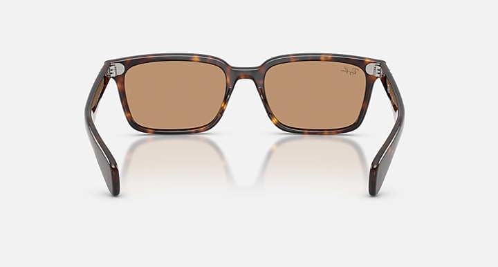 Ray-Ban BRUNEL Havana with Brown Solid Color lenses - Back