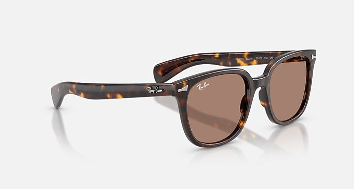 Ray-Ban BRUNEL II Havana with Light Violet Solid Color lenses - Alternative