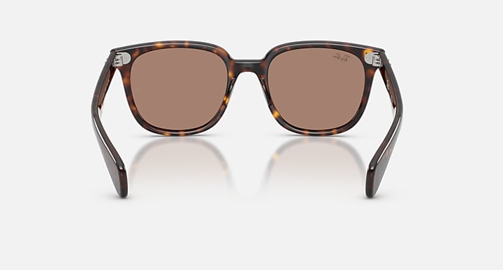 Ray-Ban BRUNEL II Havana with Light Violet Solid Color lenses - Back
