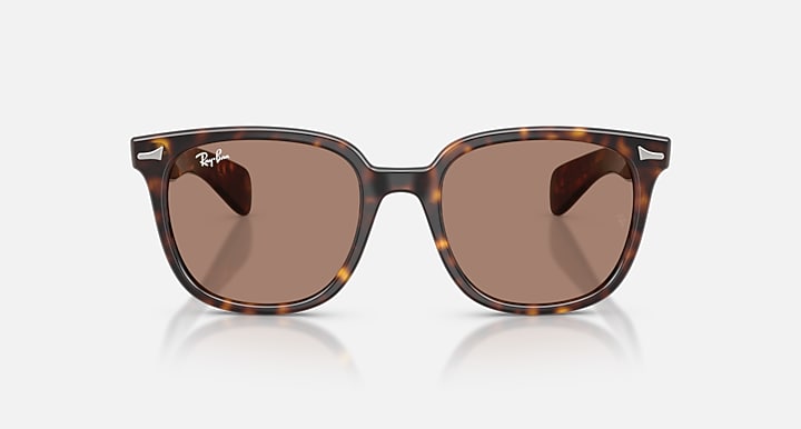Ray-Ban BRUNEL II Havana with Light Violet Solid Color lenses - Front