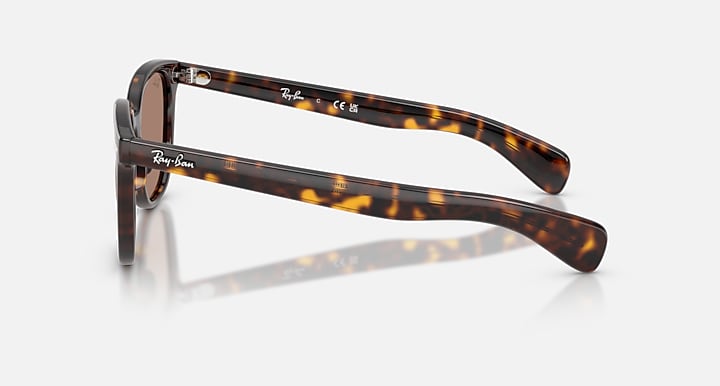 Ray-Ban BRUNEL II Havana with Light Violet Solid Color lenses - Lateral