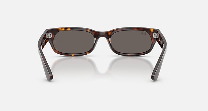 Ray-Ban RB2236 Havana with Dark Grey Solid Color lenses - Back