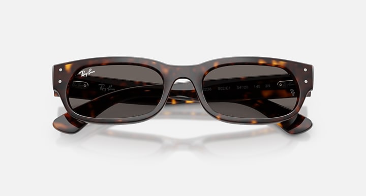 Ray-Ban RB2236 Havana with Dark Grey Solid Color lenses - Closed Front