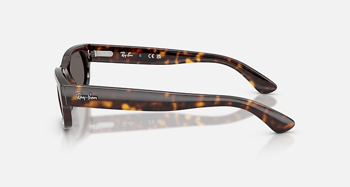 Ray-Ban RB2236 Havana with Dark Grey Solid Color lenses - Lateral