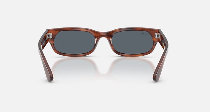 Ray-Ban RB2236 Striped Havana with Blue Solid Color lenses - Back