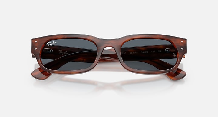 Ray-Ban RB2236 Striped Havana with Blue Solid Color lenses - Closed Front