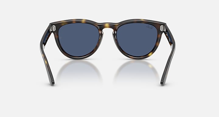 Ray-Ban RB2237 Havana with Blue Solid Color lenses - Back