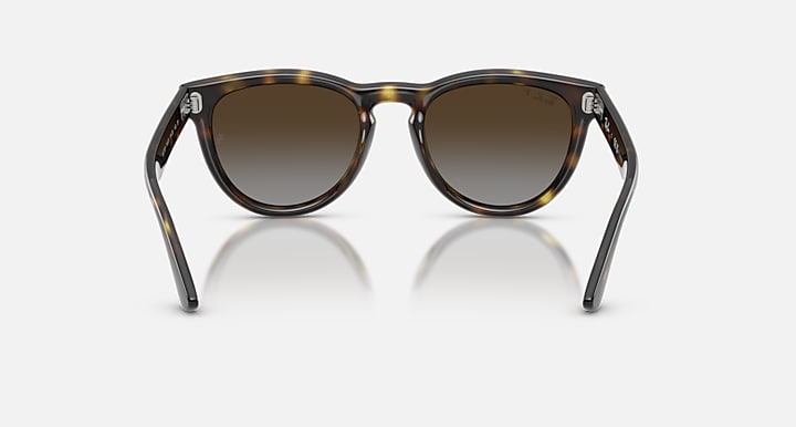 Ray-Ban RB2237 Havana with Polarized Light Grey Gradient Brown Gradient lenses - Back