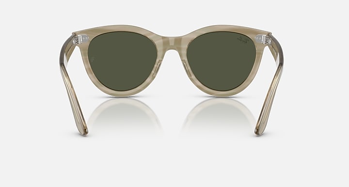 Ray-Ban WAYFARER WAY CHANGE HOLIDAY LIMITED Photo Striped Grey with G-15 Green Solid Color lenses - Back