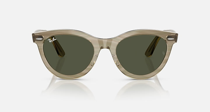 Ray-Ban WAYFARER WAY CHANGE HOLIDAY LIMITED Photo Striped Grey with G-15 Green Solid Color lenses - Front