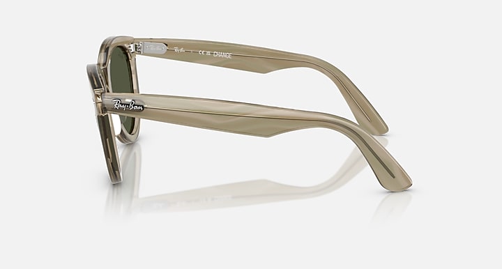 Ray-Ban WAYFARER WAY CHANGE HOLIDAY LIMITED Photo Striped Grey with G-15 Green Solid Color lenses - Lateral