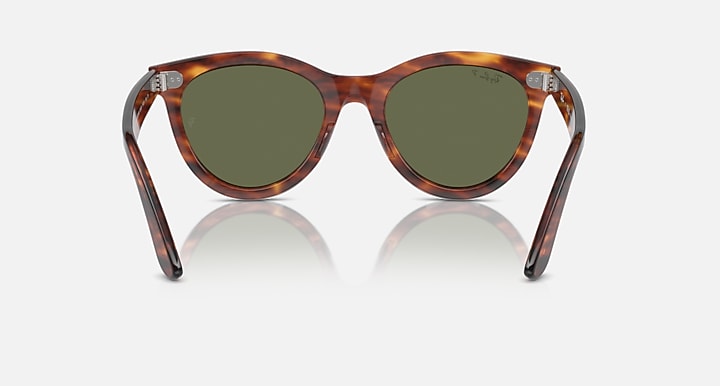 Ray-Ban WAYFARER WAY Striped Havana with Green Polarized Solid Color lenses - Back