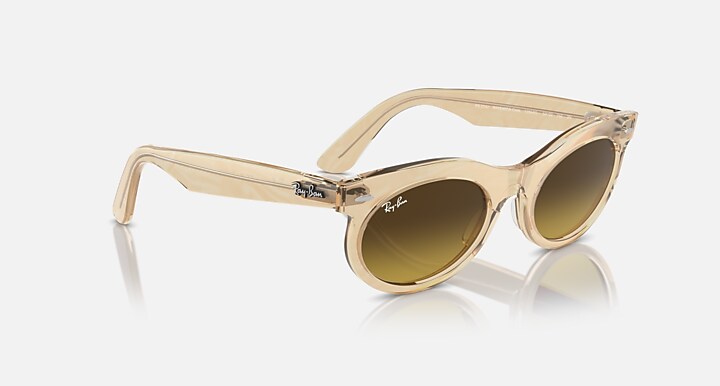 Ray-Ban WAYFARER OVAL CHANGE Photo Waves Brown with Brown Gradient lenses - Alternative