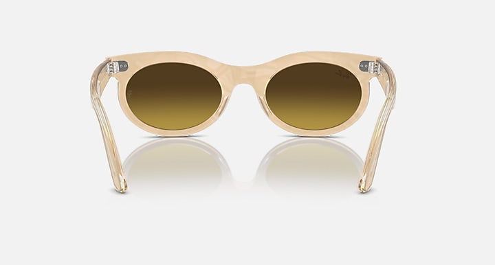 Ray-Ban WAYFARER OVAL CHANGE Photo Waves Brown with Brown Gradient lenses - Back