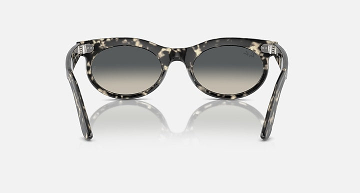 Ray-Ban WAYFARER OVAL Grey Havana with Grey Gradient lenses - Back