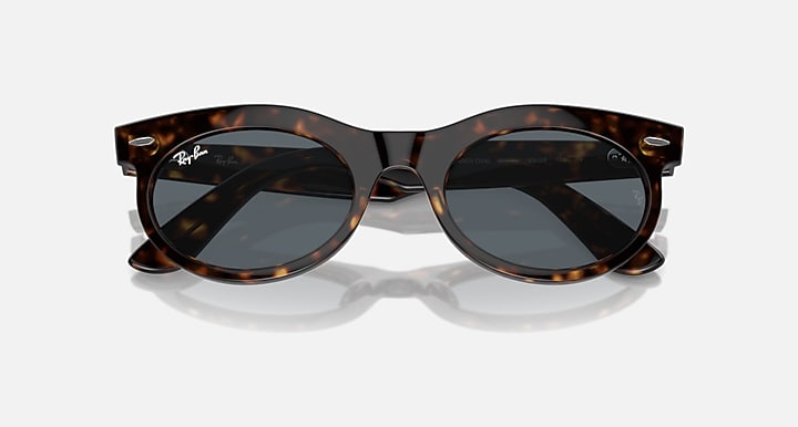 Ray-Ban WAYFARER OVAL Havana with Blue Solid Color lenses - Closed Front