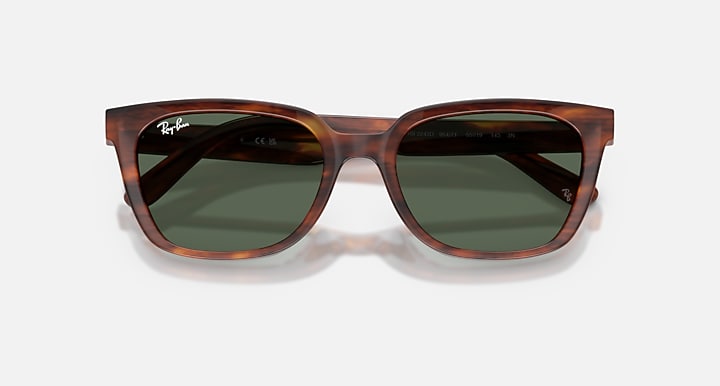 Ray-Ban RB2243D Striped Havana with Dark Green Solid Color lenses - Closed Front