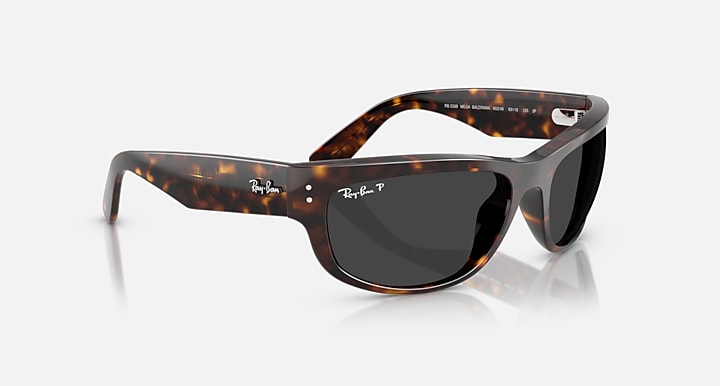 Ray-Ban MEGA BALORAMA Havana with Polarized Black Solid Color lenses - Alternative