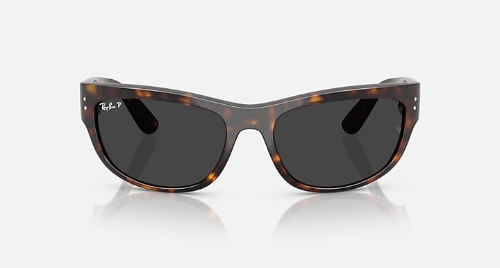 Ray-Ban MEGA BALORAMA Havana with Polarized Black Solid Color lenses - Front
