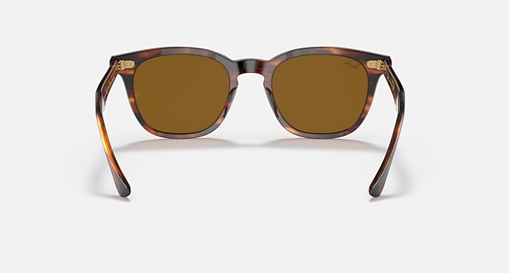 Ray-Ban HAWKEYE Striped Havana; Havana with Brown Solid Color lenses - Back