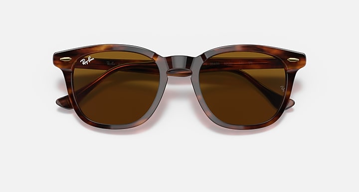 Ray-Ban HAWKEYE Striped Havana; Havana with Brown Solid Color lenses - Closed Front