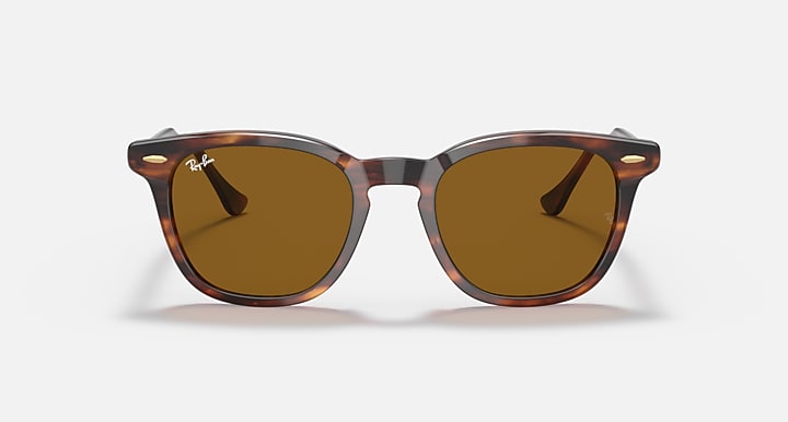 Ray-Ban HAWKEYE Striped Havana; Havana with Brown Solid Color lenses - Front