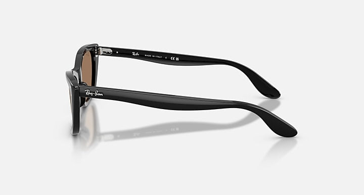 Ray-Ban LADY BURBANK POLARIZED+ LENSES Black with Brown Solid Color lenses - Lateral